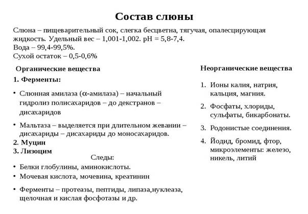 Камни слюнных желез: причины, симптомы и лечение